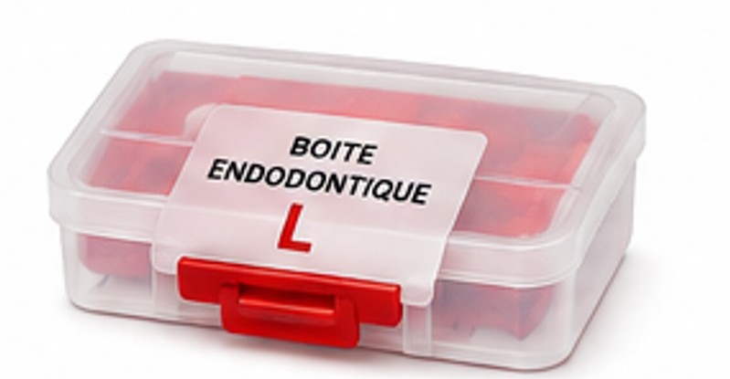 Boite endo L