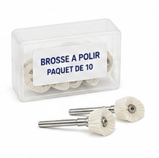 Brosse à polir paquet 10