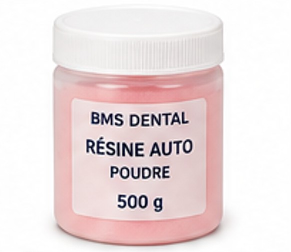 Resine auto BMS 500G